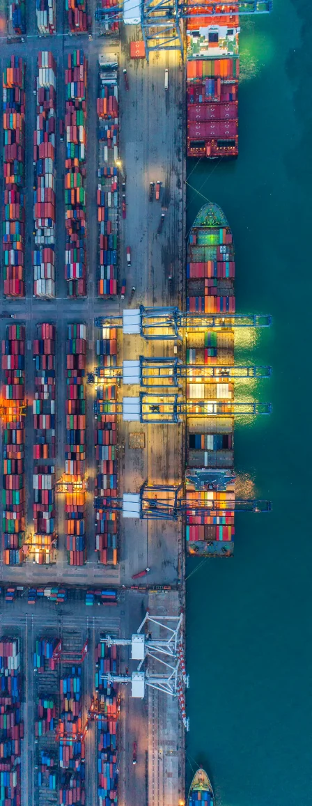 Container terminal supporting clearing and forwarding operations