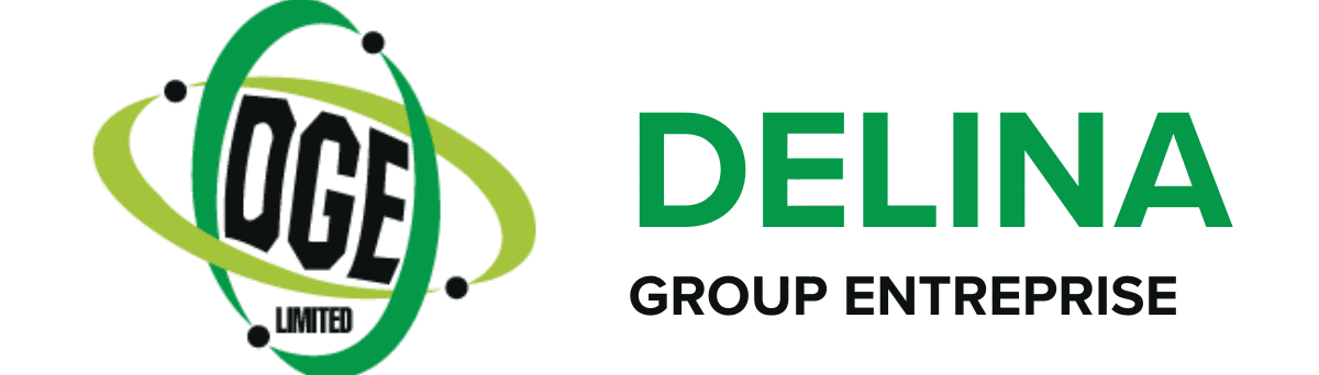 Delina Group Enterprise corporate logo