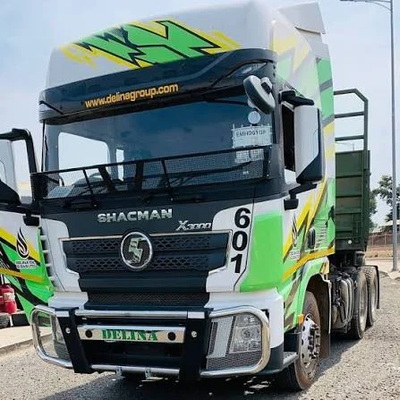 Front view of branded Delina Shacman truck 601